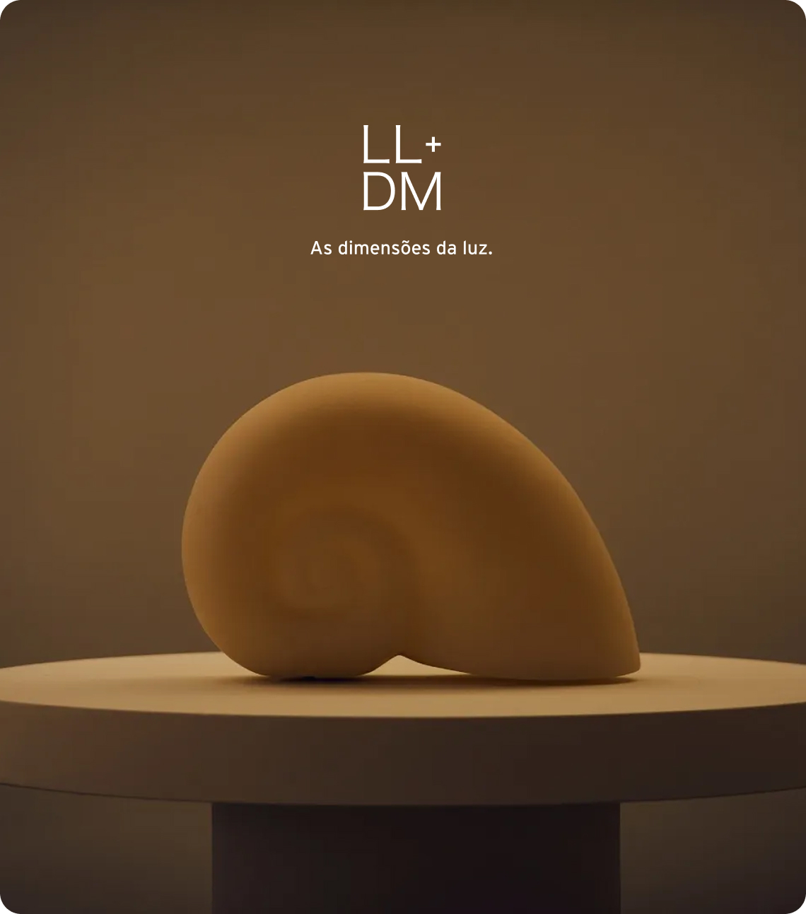 LL+DM