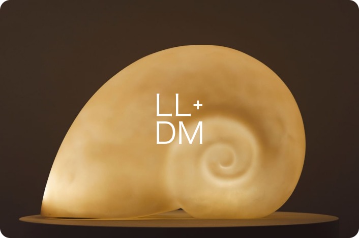 LL+DM